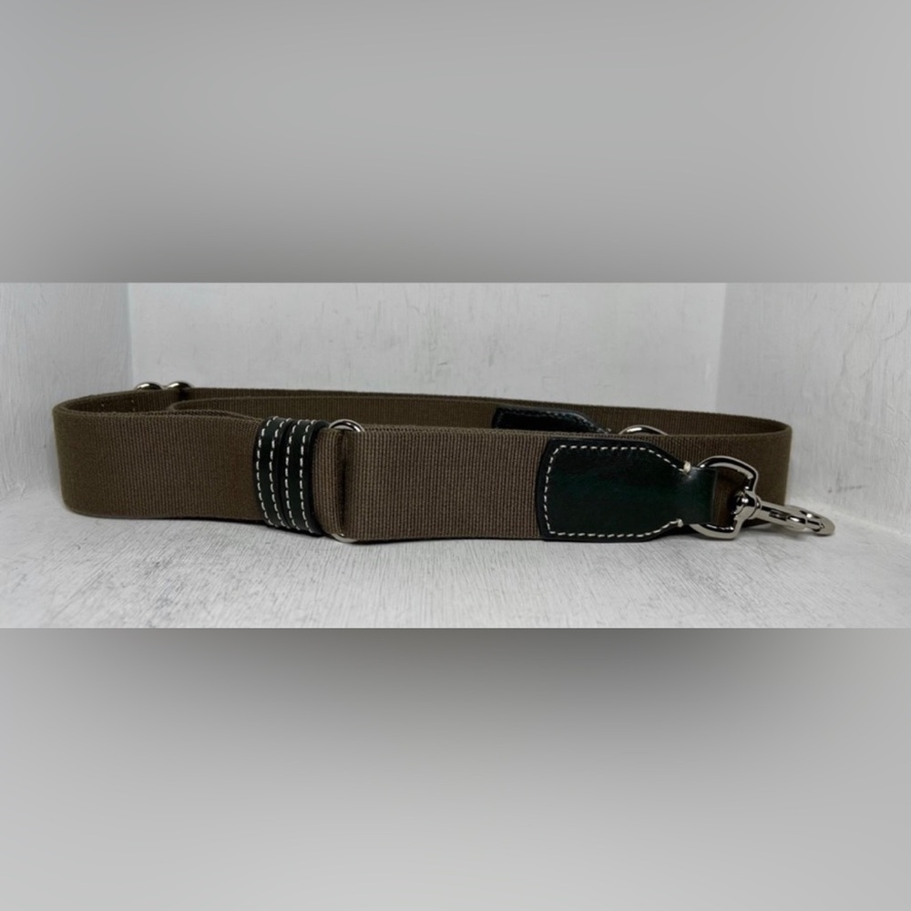 Dooney & Bourke Florentine Toscana Webbed Purse Strap Pine Green